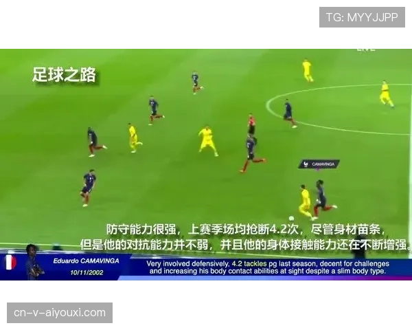 卡马文加评价两极分化：战术角色与比赛影响力解析
